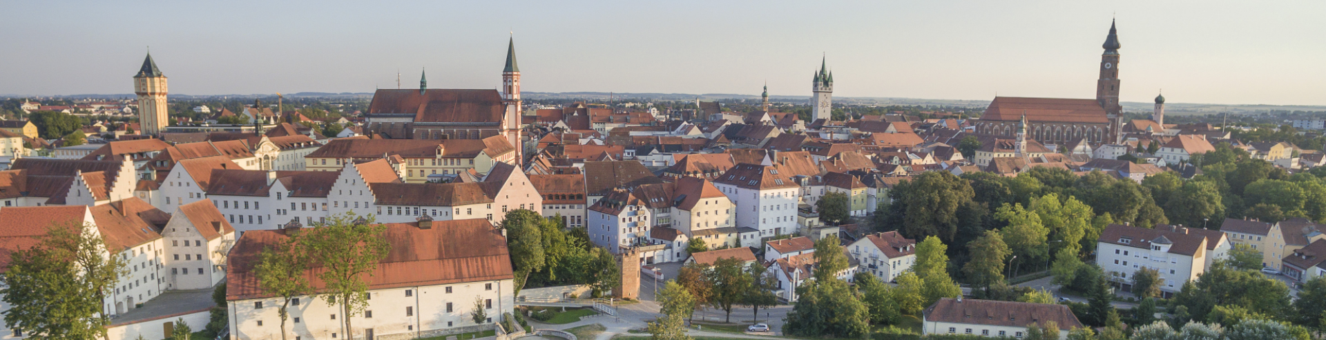 Straubinger Skyline mit Herzogschloss, Stadtturm und Basilika